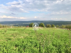 Teren pentru constructii case  de vanzare Iasi, Mogosesti, - imagine 19