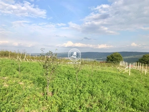 Teren pentru constructii case  de vanzare Iasi, Mogosesti, - imagine 18