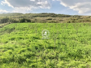 Teren pentru constructii case  de vanzare Iasi, Mogosesti, - imagine 20