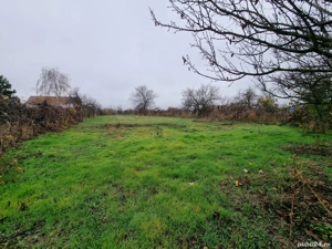 Teren intravilan in Parta, toate utilitatile