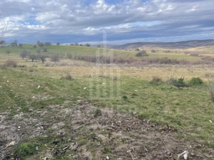 parcele de teren intravilan constructie case-zona  Daia - imagine 6