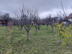 Teren intravilan, 1000mp, Brebu  - imagine 5