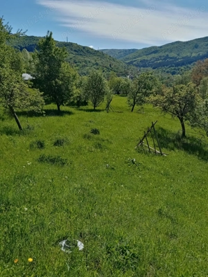 Vând casă și teren în Valea Doftanei.