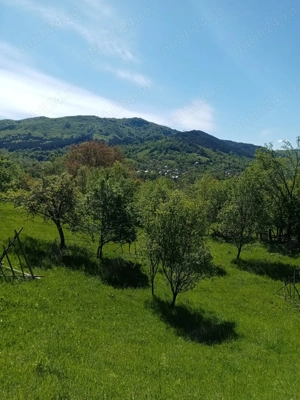 Vând casă și teren în Valea Doftanei. - imagine 2