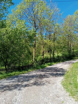 Vând casă și teren în Valea Doftanei. - imagine 4