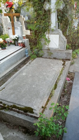 Loc de veci cimitir BELLU, cu pozitie excelenta langa intrare, liber, Fig.15, 3mp. - imagine 3
