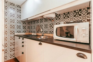 De inchiriat apartament cu o camera  zona Badea Cartan - imagine 3