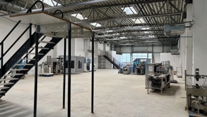 Hală de 7.646 mp pe un teren 35.092 mp + 1MW energie   Valu lui Traian - imagine 9