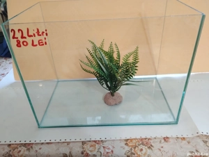 Acvarii in Pitești  - imagine 3