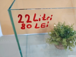 Acvarii in Pitești  - imagine 4