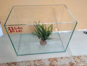 Acvarii in Pitești  - imagine 2