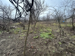 Vand casa batraneasca cu teren 2400 mp la 20 KM de CLUJ - imagine 10