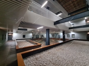 Apartament pet friendly cu 2 camere - acces gratuit in sala de fitness - Cetatii