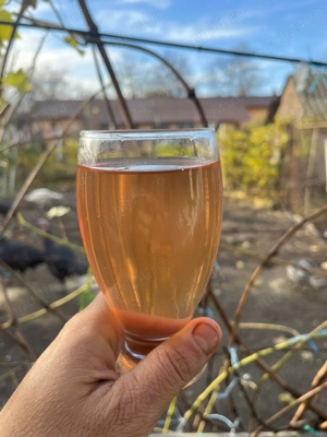 Vin natural -soi Hamburg