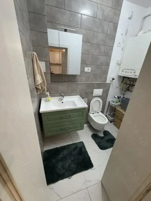 Casa insiruita  cu 3 camere terasa acoperita mobilata si utilata Giroc - imagine 5