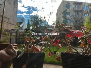 Casa in inima Aradului, ultracentral pe Malul Muresului - imagine 16