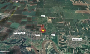 2 ha teren de vanzare in Vladimirescu- Cicir - imagine 6