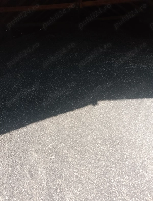 Vând Floarea-Soarelui, 150 tone