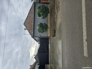 Vand casa cu gradina in Ciumeghiu