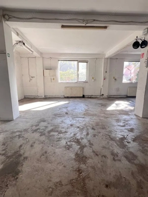 Imobil Domenii-Parcul Copilului, cu destinatie Rezidential cat si Comercial - imagine 7