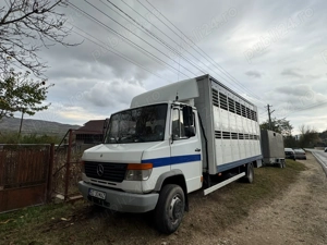 Transport Animale certificat - imagine 7