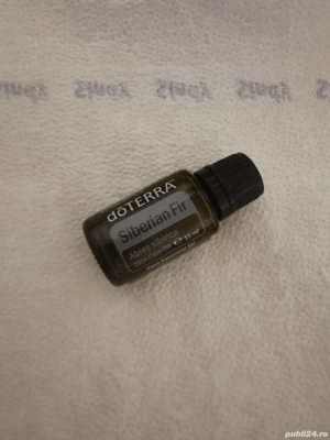 DoTerra siberian fir