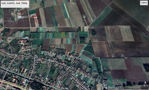 Teren de vânzare în localitatea Lovrin, județ Timiș , suprafața 50000 mp  - imagine 6
