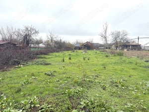 Teren in Sat Cernetu, 1000 mp2, 12km Alexandria 80 km Bucuresti - imagine 9