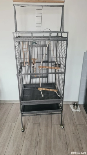 vînd o volieră papagali - imagine 3