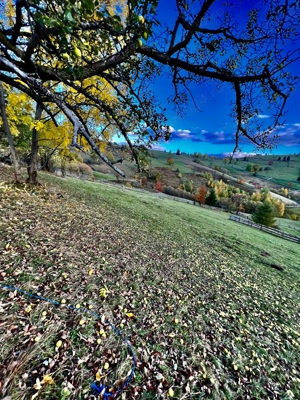 Vand Teren la munte - imagine 2