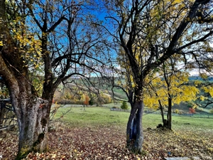 Vand Teren la munte - imagine 3