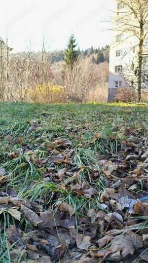 De vanzare-Proiect si autorizatie imobil 6 apartamente, 800 mp, P+2E+M-Sinaia - imagine 7