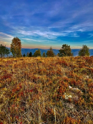 Teren de vanzarea la munte - imagine 3