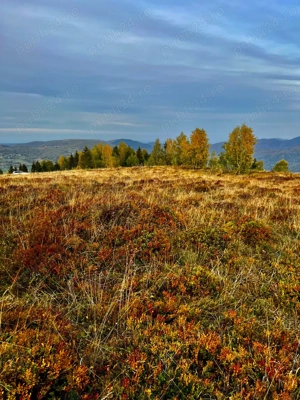 Teren de vanzarea la munte - imagine 5