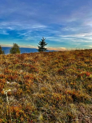 Teren de vanzarea la munte - imagine 4