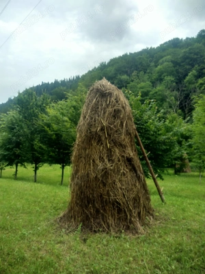 Teren la munte - imagine 8