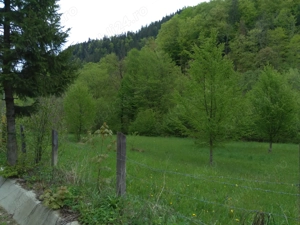 Teren la munte - imagine 10