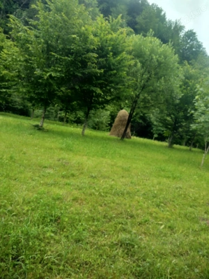 Teren la munte - imagine 7