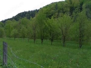 Teren la munte - imagine 9