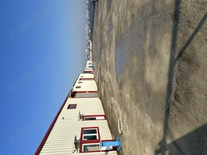 Inchiriere 2  HALE Pret Avantajos 3 euro - imagine 4