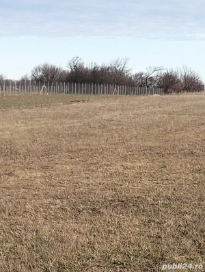 Teren pentru construcții sau afacere