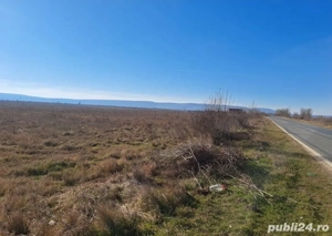 Teren Hinova - Ostrovu Corbului, la Dunare, 3,38 ha, intra extravilan, zona rezidenyiala   - imagine 6