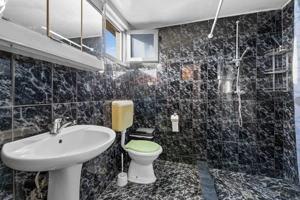 Casă cu 5 camere in Barzava - imagine 13