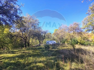 Teren 5,408mp Pucioasa / Strada Miculesti