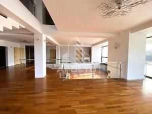 Casă/vilă/spațiu comercial–650mp utili/teren 3000 mp - imagine 3