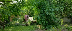 Proprietar inchiriez conac 1650  euro   ! - imagine 10