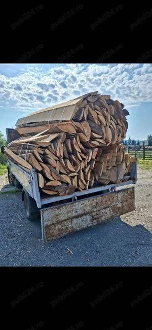 Laturoaie de fag uscat. 