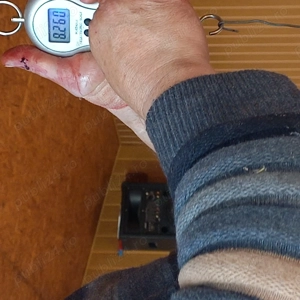 De vănzare  curcan-17kg-20kg, curcii -12kg -15 kg . - imagine 2