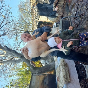 De vănzare  curcan-17kg-20kg, curcii -12kg -15 kg . - imagine 5