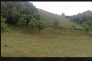 Casa la tara in zona linistita  - imagine 4